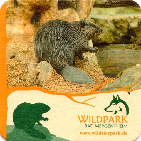 bad mergentheim tbb-bw herbst wild 6b (quad185-nutria) 